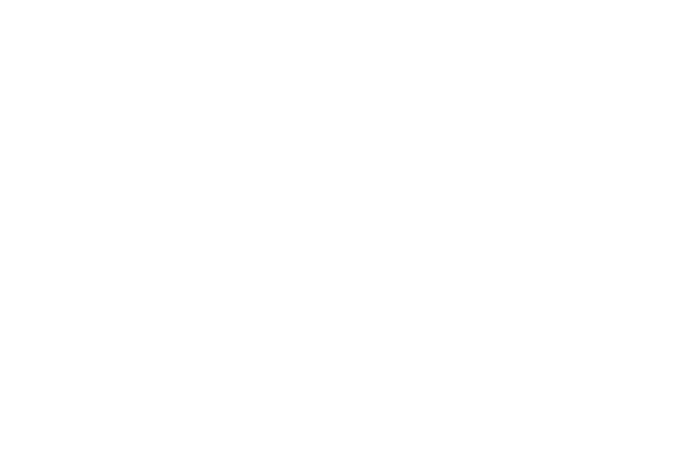 Psy Helmond